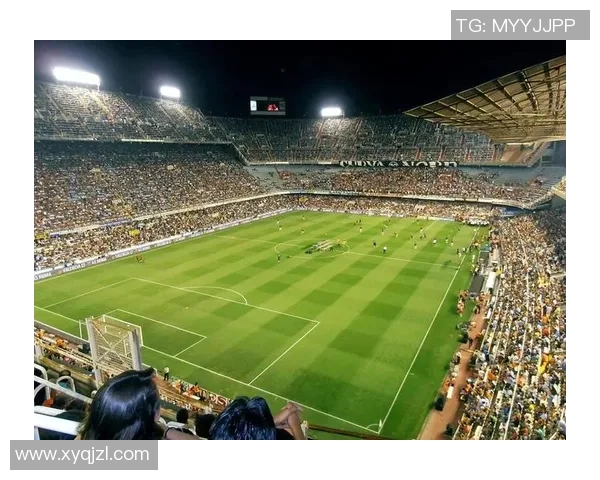 逸情足球：在激情与梦想交织的绿茵场上追寻心灵的自由与快乐